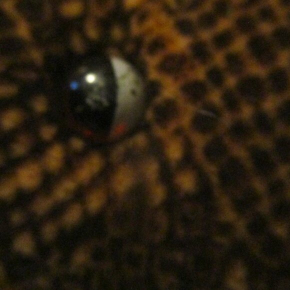 Retired Folkmanis 60” Hooded Cobra snake puppet rare Realistic - Picture 6 of 6